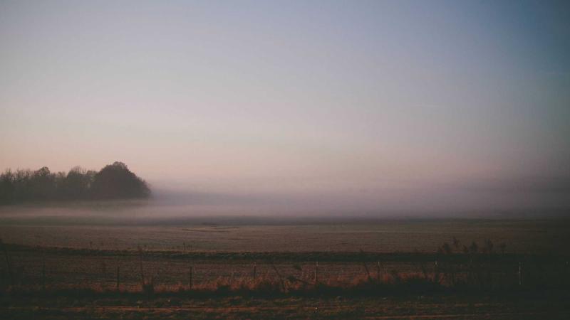 The Future of Web Development: Trends to Watch