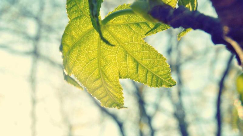 Introduction to Full Stack Development