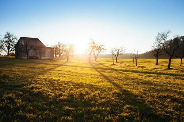 Real Estate Property Listing Template